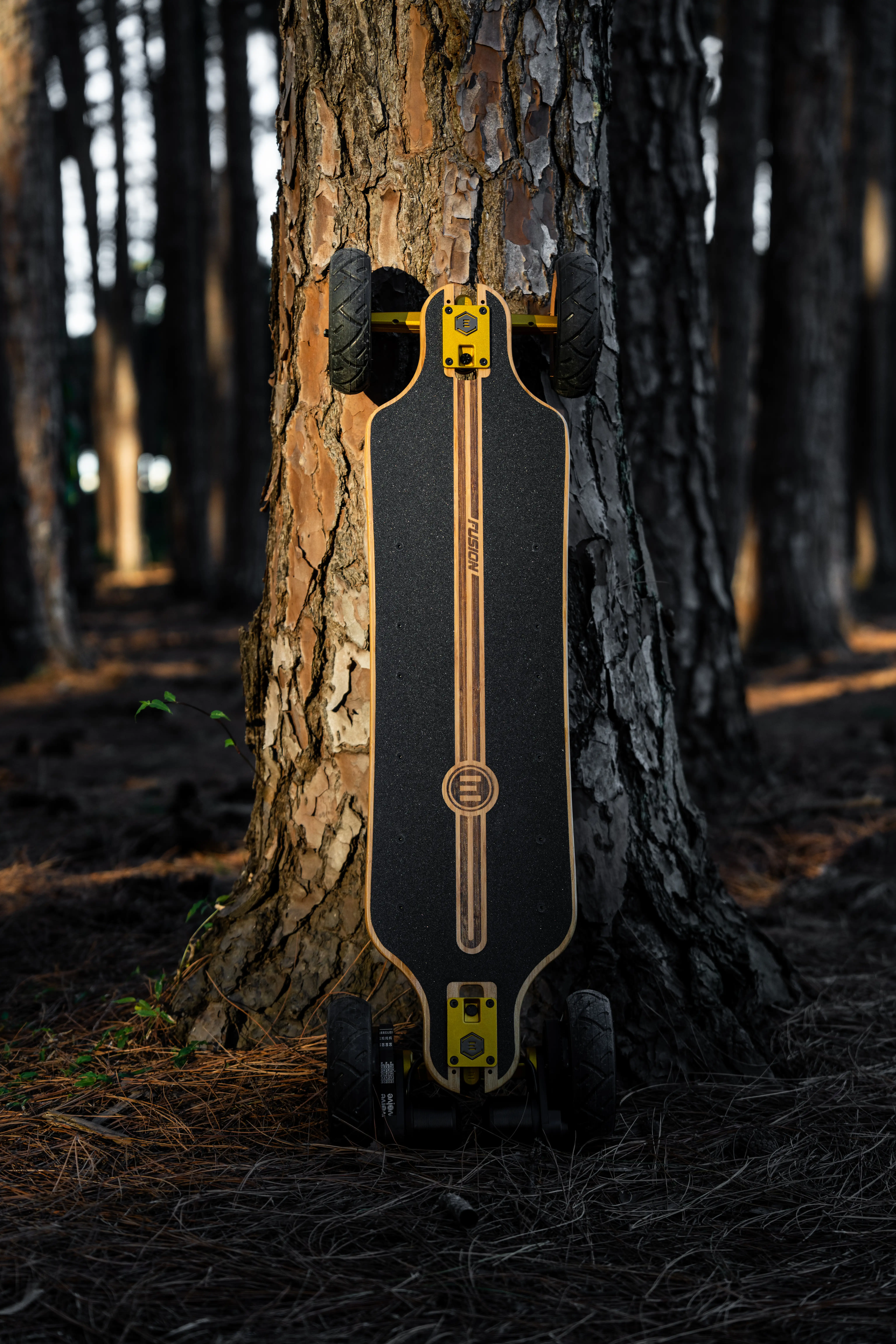 Evolve Fusion lifestyle board pensée pour le ride